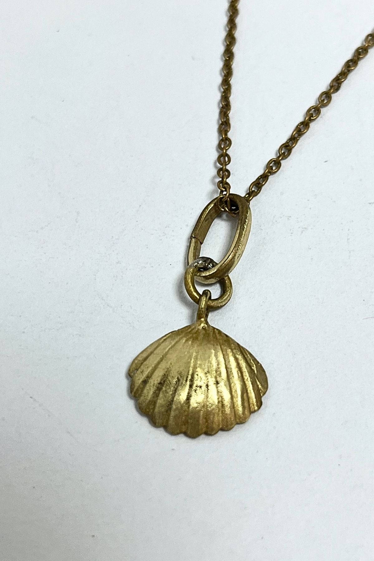 Scallop