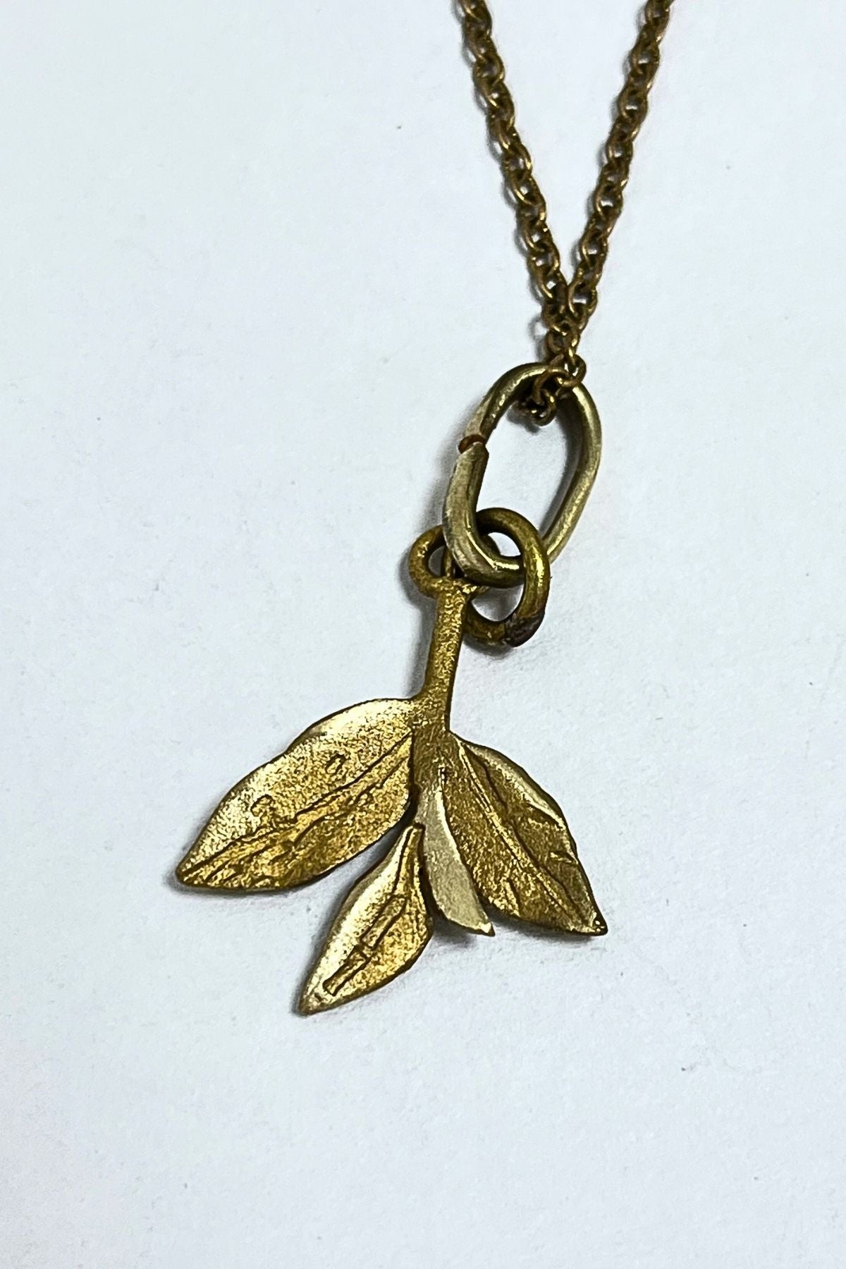 Leaves