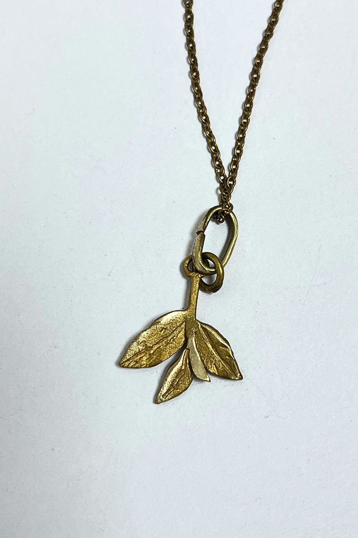 Leaves